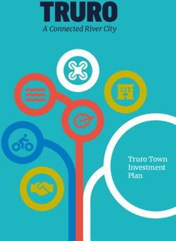 A Connected River City - Truro Town Investment Plan - Truro Town Deal