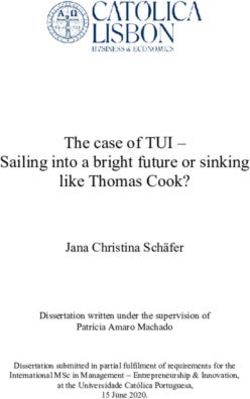 The case of TUI - Sailing into a bright future or sinking like Thomas Cook? - Universidade Católica Portuguesa