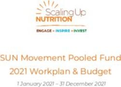 SUN Movement Pooled Fund 2021 Workplan & Budget - 1 January 2021 - 31 December 2021