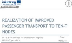 REALIZATION OF IMPROVED PASSENGER TRANSPORT TO TEN-T NODES - Final