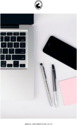 MEDIA INFORMATION 2019 - Hairmagazine