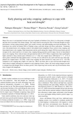 Early planting and relay cropping: pathways to cope with heat and drought? - KOBRA