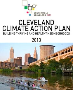 CLEVELAND CLIMATE ACTION PLAN - 2013 BUILDING THRIVING AND HEALTHY NEIGHBORHOODS