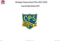 Strategic Improvement Plan 2021-2024 - Cowra Public School 1671 - Amazon AWS