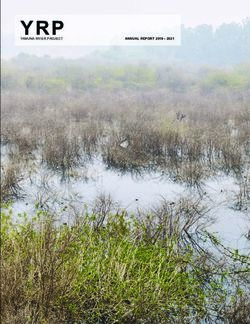 YRP - Yamuna River Project