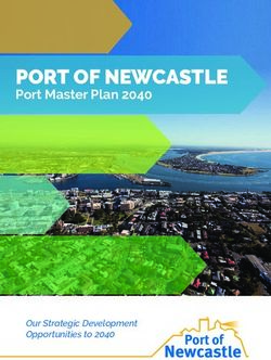 PORT OF NEWCASTLE Port Master Plan 2040 - Our Strategic Development Opportunities to 2040