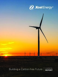 Building a Carbon-free Future - CARBON REPORT - Xcel Energy