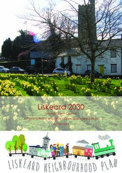 Liskeard 2030 Liskeard Town Council A Place to Relax and Enjoy - Open Space and Leisure - Liskeard Neighbourhood Plan