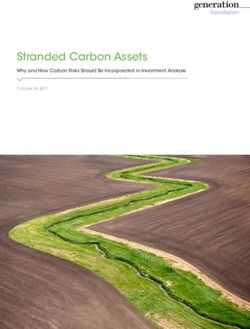 Stranded Carbon Assets - Why and How Carbon Risks Should Be Incorporated in Investment Analysis