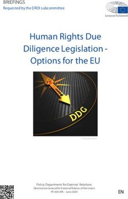 Human Rights Due Diligence Legislation - Options for the EU - BRIEFINGS Requested by the DROI subcommittee - European Parliament