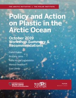 Policy and Action on Plastic in the Arctic Ocean - October 2019 Workshop Summary & Recommendations