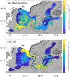 Towards end-to-end (E2E) modelling in a consistent NPZD-F modelling framework (ECOSMO E2E_v1.0): application to the North Sea and Baltic Sea - GMD
