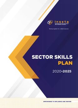 SECTOR SKILLS PLAN 2020-2025 - Inseta