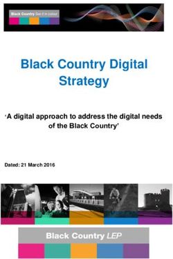 Black Country Digital Strategy - 'A digital approach to address the digital needs of the Black Country' - Black Country LEP