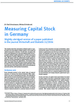 Measuring Capital Stock in Germany - Slightly abridged version of a paper published in the journal Wirtschaft und Statistik 11/2006