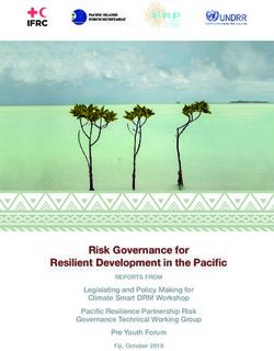 Risk Governance for Resilient Development in the Pacific - Legislating and Policy Making for Climate Smart DRM Workshop Pacific Resilience ...