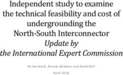 Independent study to examine the technical feasibility and cost of undergrounding the North-South Interconnector - Update by the International ...