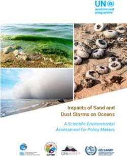 Impacts of Sand and Dust Storms on Oceans - A Scientific Environmental Assessment for Policy Makers - UN ...