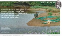 Environmental analysis of lower Jordan Creek 1987 - Juneau Nature