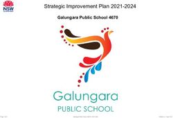 Strategic Improvement Plan 2021-2024 - Galungara Public School 4670 - AWS