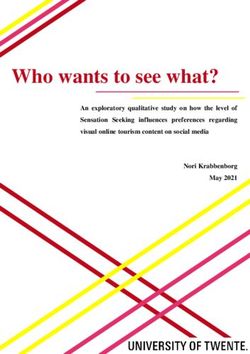 Who wants to see what? - An exploratory qualitative study on how the level of Sensation Seeking influences preferences regarding visual online ...