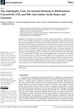 The Autotrophic Core: An Ancient Network of 404 Reactions Converts H2, CO2, and NH3 into Amino Acids, Bases, and Cofactors