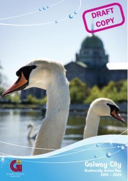 Galway City Biodiversity Action Plan 2014 2024