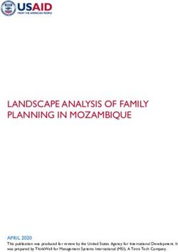 LANDSCAPE ANALYSIS OF FAMILY PLANNING IN MOZAMBIQUE