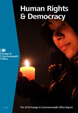 Human Rights & Democracy - The 2018 Foreign & Commonwealth Office Report