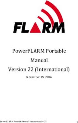 POWERFLARM PORTABLE VERSION 22 (INTERNATIONAL) - NOVEMBER 15, 2016 POWERFLARM PORTABLE MANUAL INTERNATIONAL V.22