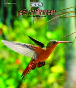 Pvmcitypaper.com ISSUE 550 - PV Mirror