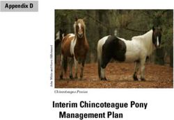 Interim Chincoteague Pony Management Plan - Appendix D