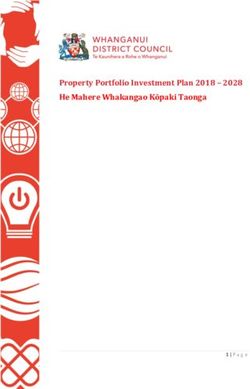 Property Portfolio Investment Plan 2018 - 2028 He Mahere Whakangao Kōpaki Taonga - Whanganui District Council