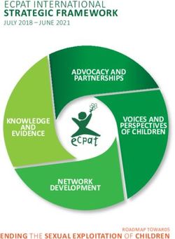 STRATEGIC FRAMEWORK ECPAT INTERNATIONAL - ADVOCACY AND PARTNERSHIPS