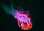 Restoring trust in financial services in the digital era - Salesforce - Deloitte