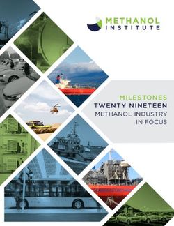 MILESTONES TWENTY NINETEEN - METHANOL INDUSTRY IN FOCUS - Methanol Institute