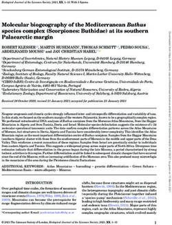 Molecular biogeography of the Mediterranean Buthus species complex (Scorpiones: Buthidae) at its southern Palaearctic margin
