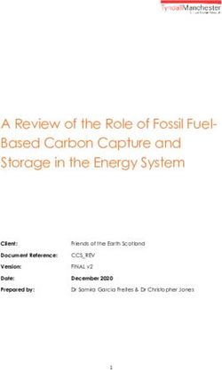 A Review of the Role of Fossil Fuel-Based Carbon Capture and Storage in the Energy System