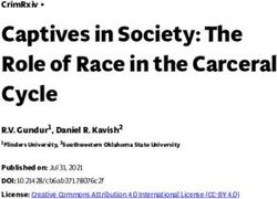 Captives in Society: The Role of Race in the Carceral Cycle