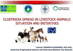CLOSTRIDIA SPREAD IN LIVESTOCK ANIMALS: SITUATION AND INITIATIVES - LECTURER TABARAN ALEXANDRA, PHD, MSCI, UNIVERSITY OF AGRICULTURAL SCIENCES AND ...