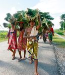 UNSDCF TIMOR-LESTE 2021 | 2025 - United nations - UNDP
