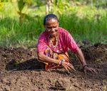 UNSDCF TIMOR-LESTE 2021 | 2025 - United nations - UNDP