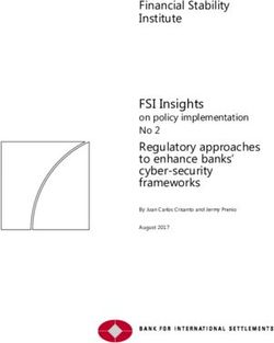 FSI Insights on policy implementation No 2 - Financial Stability Institute - Bis