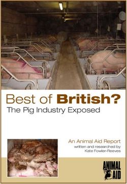 Best of British? The Pig Industry Exposed - An Animal Aid Report