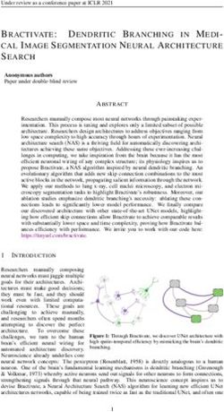 BRACTIVATE: DENDRITIC BRANCHING IN MEDI- CAL IMAGE SEGMENTATION NEURAL ARCHITECTURE SEARCH