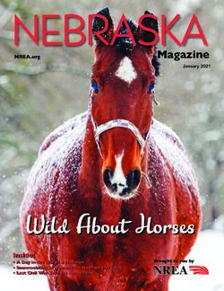 Wild About Horses - Nebraska Rural Electric Association