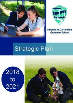 To 2021 2018 Strategic Plan - Court Grammar School