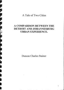 A TALE OF TWO CITIES A COMPARISON BETWEEN THE DETROIT AND JOHANNESBURG URBAN EXPERIENCE - DUNCAN CHARLES STAINER - WIREDSPACE