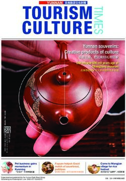 Yunnan souvenirs: Creative products of culture