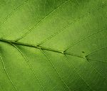 Zambia's Investment Opportunities - Embassy of Zambia